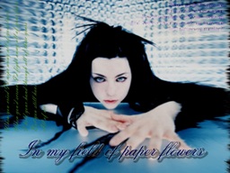 Evanescence wallpaper